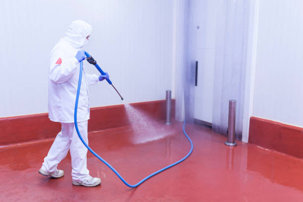 Best Winterizing Services  in Ormond By The Sea, FL