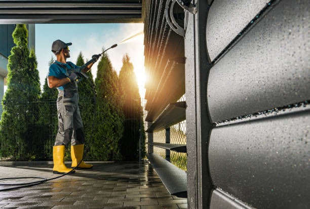 Best Driveway Pressure Washing  in Ormond By The Sea, FL